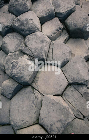 Bed of volcanic hexagonal rocks basalt columns at the Giant`s Causeway Coast - the Natural World Heritage Site in Bushmills Antrim Northern Ireland Stock Photo